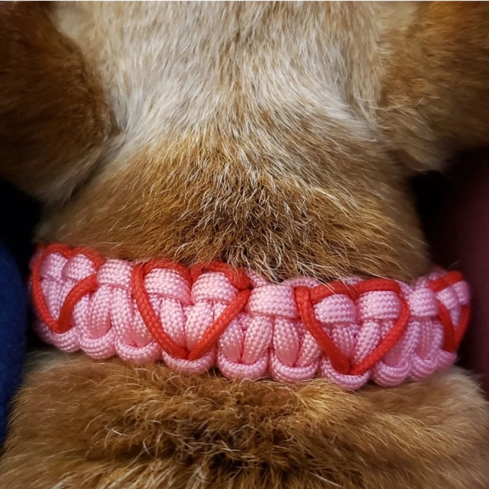 Handmade paracord heart collar
